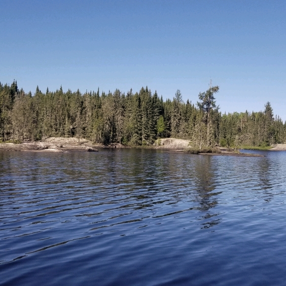 Meet your Posher, Penny - Picture 1 of 1